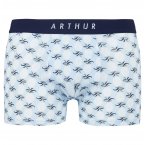 Boxer classique Arthur en coton bleu ciel imprimé ananas