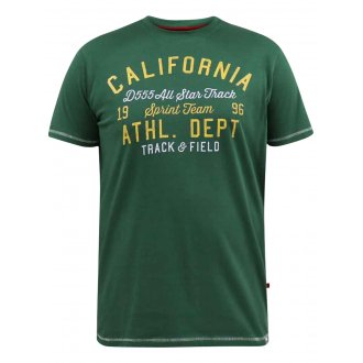 T-shirt avec manches courtes et col rond Duke coton vert