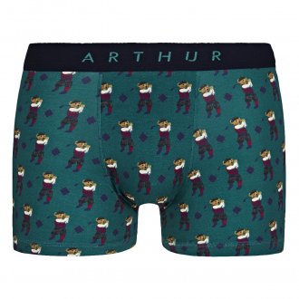 Boxer Arthur en coton stretch vert sapin à motifs ours