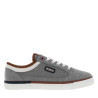 Gris
