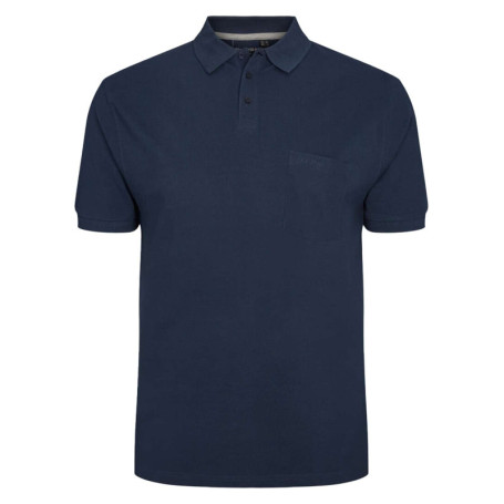 Polo en coton maille piquée marine avec une...