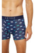Thumbnail Boxer classique en coton marine avec un imprimé tortues et une coupe fermée - Image 5