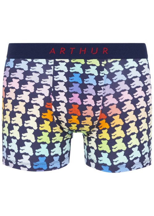 Boxer Classique en coton avec imprimés multicolores et coupe fermée