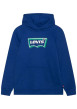 Thumbnail Sweat à capuche bleu uni avec logo de la marque floqué en vert et blanc