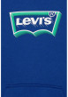 Thumbnail Sweat à capuche bleu uni avec logo de la marque floqué en vert et blanc - Image 3