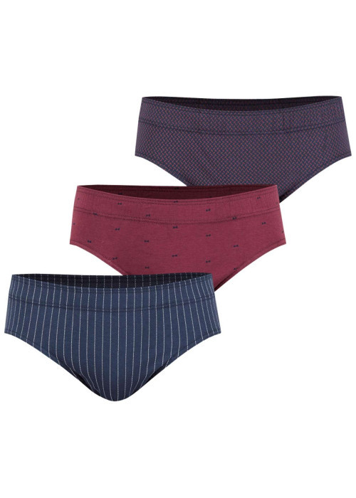 Lot de 3 slips en coton tricolore à imprimé et avec une coupe fermée