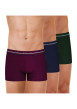 Thumbnail Lot de 3 boxers classiques en coton tricolore avec une coupe fermée - Image 4