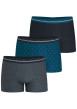 Thumbnail Lot de 3 boxers classiques en coton à pois avec une coupe fermée