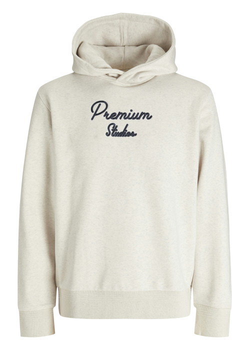 Sweat à capuche Premium avec manches longues et col à capuche gris
