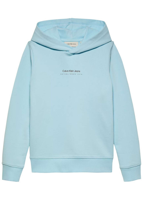 Sweat à capuche en coton bleu ciel avec un imprimé au dos et le nom de la marque