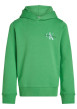 Thumbnail Sweat à capuche en coton vert uni avec une coupe droite et le logo imprimé