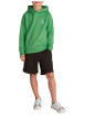 Thumbnail Sweat à capuche en coton vert uni avec une coupe droite et le logo imprimé - Image 4