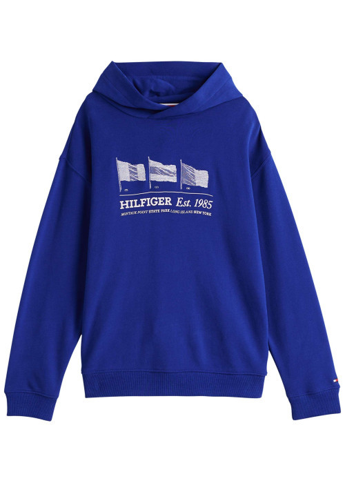 Sweat en coton régénératif bleu à imprimé, coupe droite et col à capuche