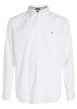 Thumbnail Chemise en coton blanche unie avec une coupe droite et un col américain