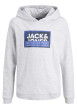 Thumbnail Sweat à capuche gris clair imprimé en coton mélangé avec une coupe droite