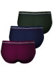 Thumbnail Lot de 3 slips en coton tricolores unis avec le nom de la marque - Image 3