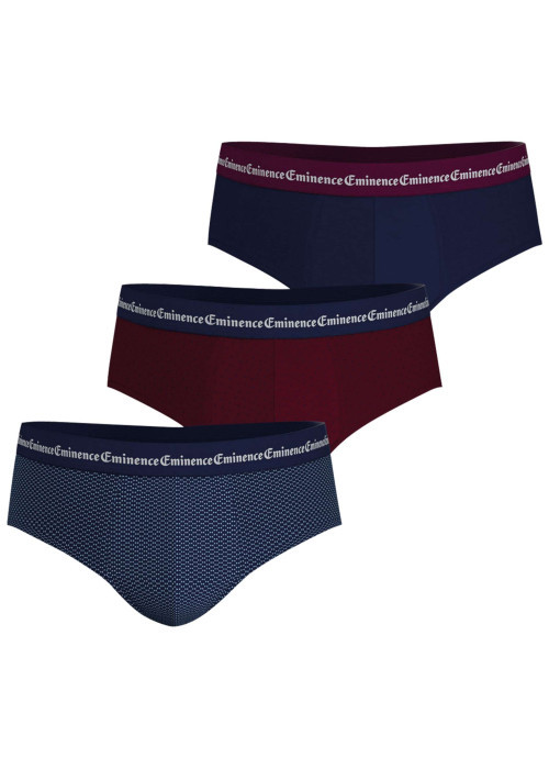 Lot de 3 slips en coton bicolores à petits motifs avec le nom de la marque