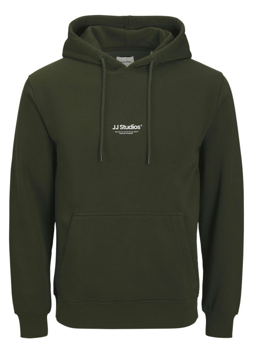 Sweat vert uni avec une coupe droite un col à capuche et des manches longues