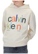 Thumbnail Sweat à capuche en coton écru uni à coupe droite avec le nom de la marque - Image 4