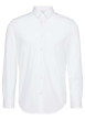 Thumbnail Chemise en coton blanche unie à coupe regular fit fermée par des boutons