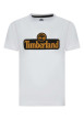 Thumbnail T-shirt en coton blanc uni avec une coupe droite et un col rond