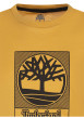 Thumbnail T-shirt en coton ocre uni avec une coupe droite et un col rond - Image 3