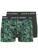 Thumbnail Lot de 2 boxers classiques noirs et verts avec un imprimé floral