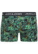 Thumbnail Lot de 2 boxers classiques noirs et verts avec un imprimé floral - Image 3