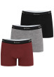 Thumbnail Lot de 3 boxers classiques en coton tricolores avec le nom de la marque