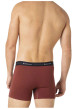Thumbnail Lot de 3 boxers classiques en coton tricolores avec le nom de la marque - Image 2