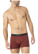 Thumbnail Lot de 3 boxers classiques en coton tricolores avec le nom de la marque - Image 3