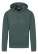 Thumbnail Sweat à capuche en coton vert à coupe droite avec le nom de la marque brodé