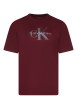 Thumbnail T-shirt en coton bordeaux à coupe droite avec un logo imprimé et un col rond