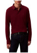 Thumbnail Polo en coton bordeaux uni coupe ajustée et un col à revers boutonné - Image 2