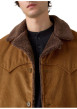 Thumbnail Blouson en coton camel pourvu d'un toucher doux effet velours - Image 4
