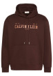 Thumbnail Sweat en coton brun uni avec une coupe droite et une capuche