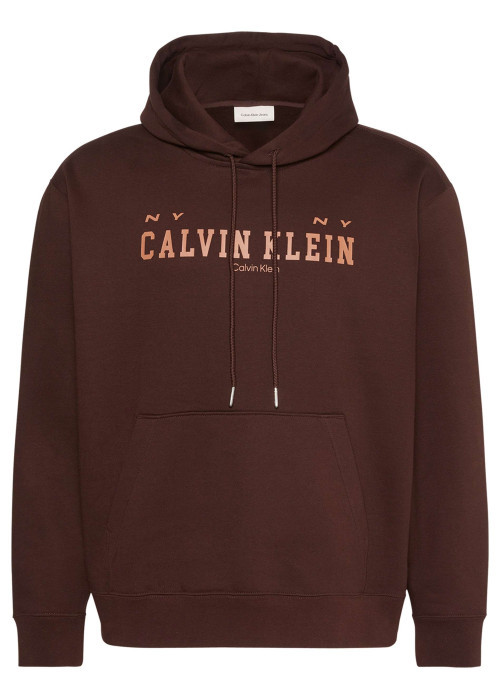 Sweat en coton brun uni avec une coupe droite et une capuche