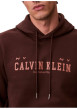 Thumbnail Sweat en coton brun uni avec une coupe droite et une capuche - Image 5