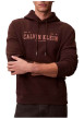 Thumbnail Sweat en coton brun uni avec une coupe droite et une capuche - Image 6