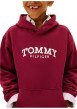 Thumbnail Sweat en coton mélangé bordeaux pourvu d'un col à capuche boutonné - Image 4