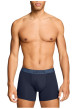 Thumbnail Lot de 2 boxers en coton marine pourvus de ceintures élastiquées - Image 3