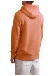 Thumbnail Sweat à capuche brique uni avec une coupe droite et un logo brodé - Image 4
