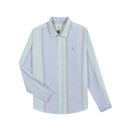 Chemise en coton verte à rayures avec une coupe...