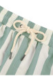 Thumbnail Short de bain vert à rayures blanches avec une coupe droite - Image 6