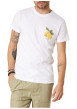 Thumbnail T-shirt en coton blanc uni pourvu d'une coupe droite et de manches courtes - Image 4