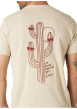 Thumbnail T-shirt en coton écru uni pourvu d'une coupe droite et d'un col rond - Image 4