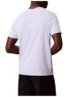 Thumbnail T-shirt en coton ciel à coupe droite pourvu d'un col rond en maille piquée - Image 3