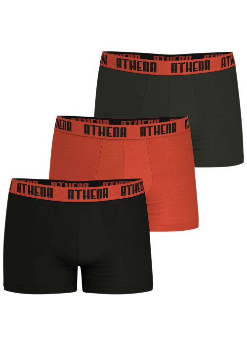 Lot de 3 boxers en coton multicolores unis pourvus d'une taille élastiquée