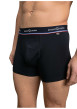 Thumbnail Lot de 2 boxers classiques en coton marine unis avec le nom de la marque - Image 2