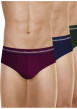 Thumbnail Lot de 3 slips en coton tricolores unis avec le nom de la marque - Image 4